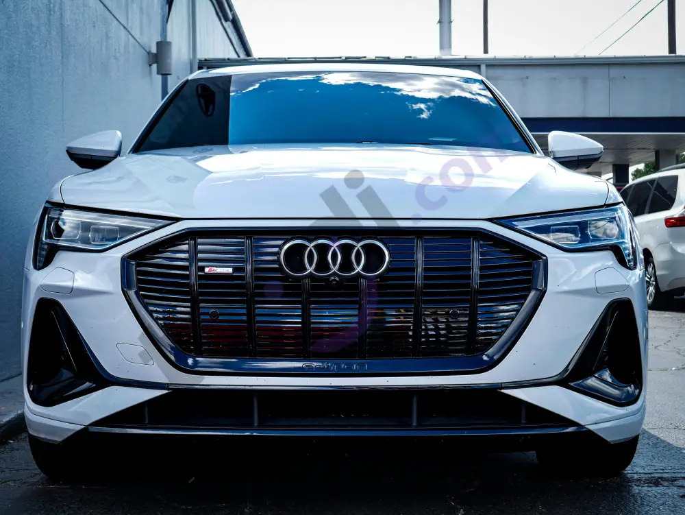 CARS / SUV / Audi /e-tron 
